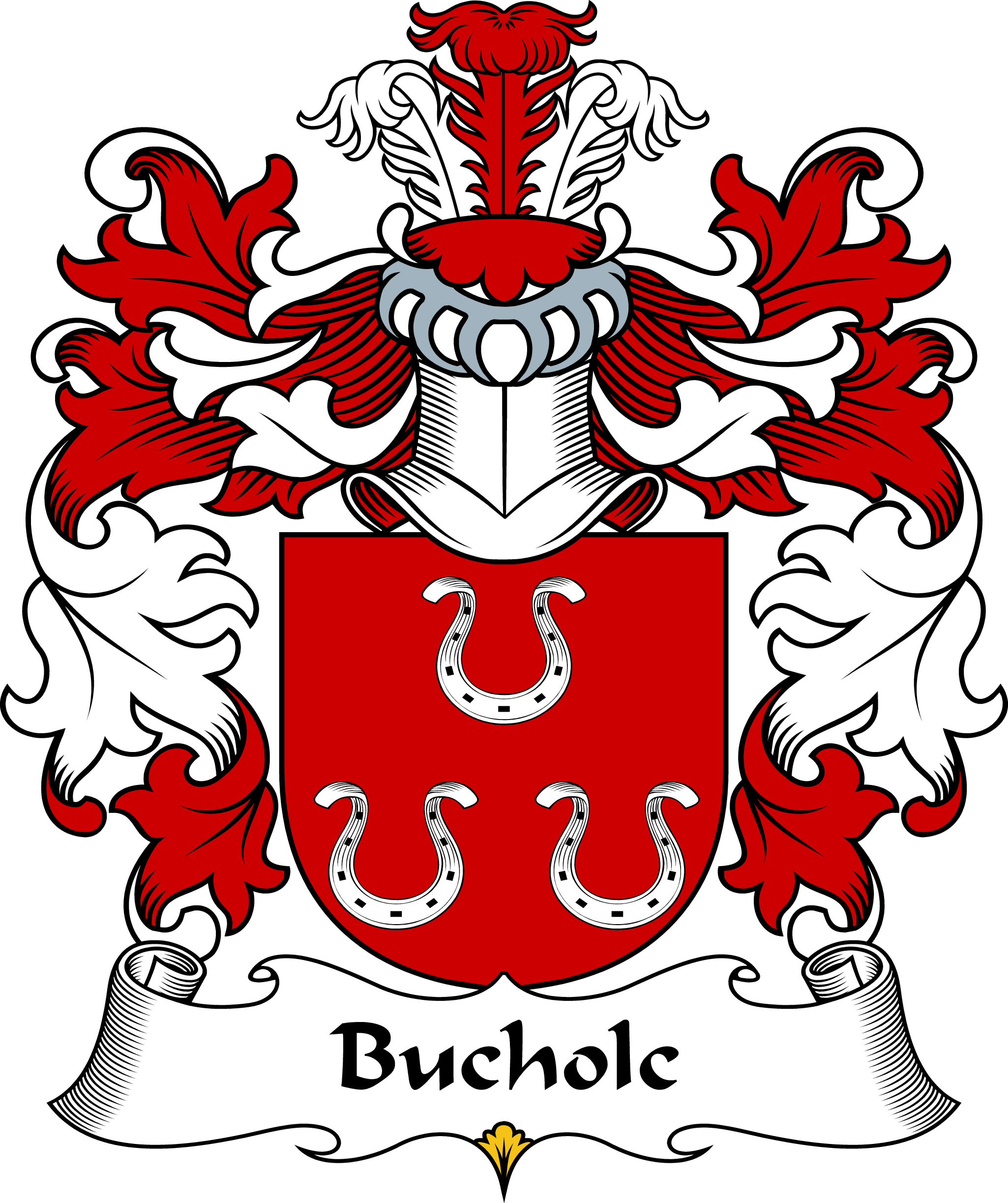 BUCHOLC-POLISH-ARMS