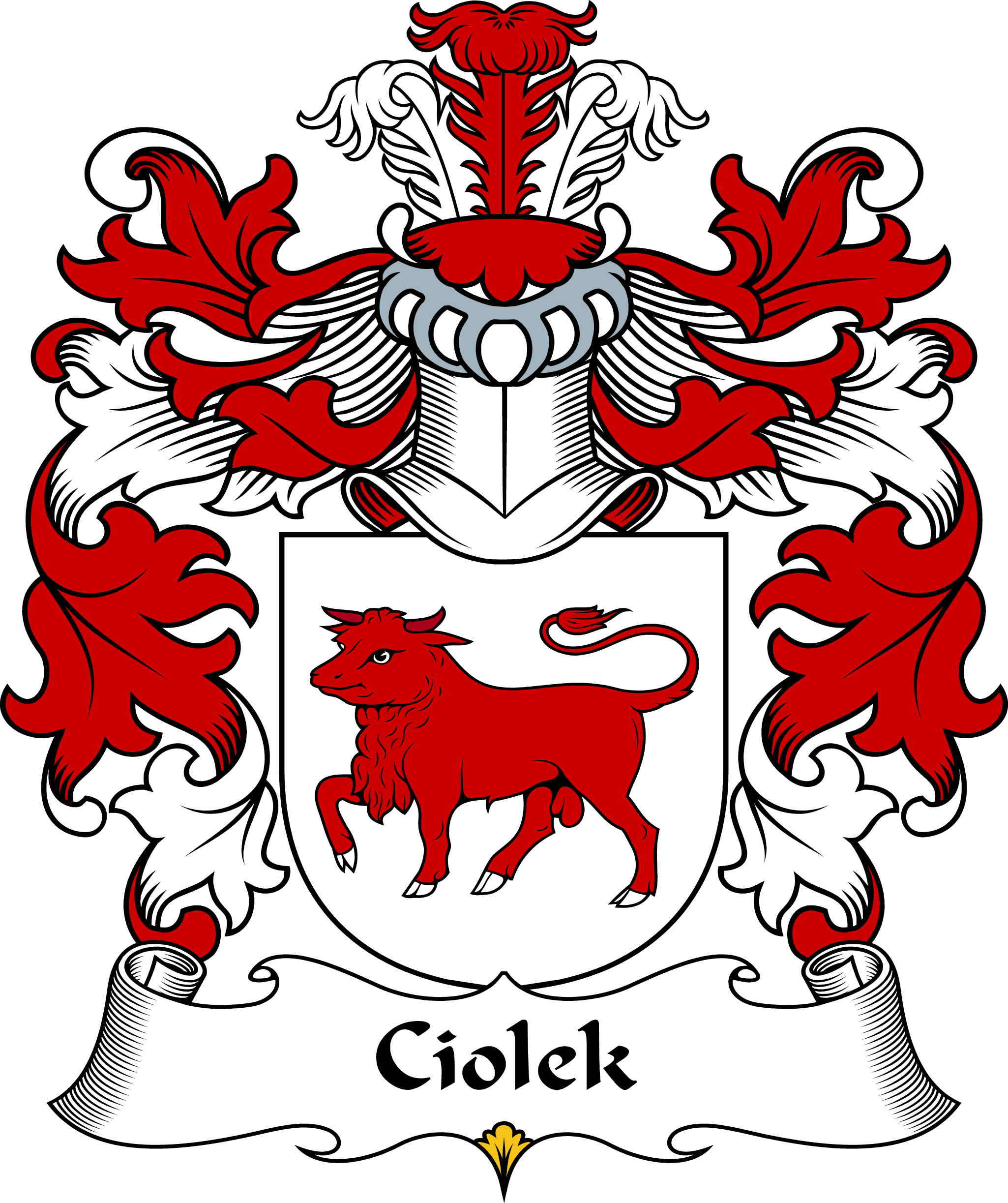 CIOLEK-POLISH-ARMS