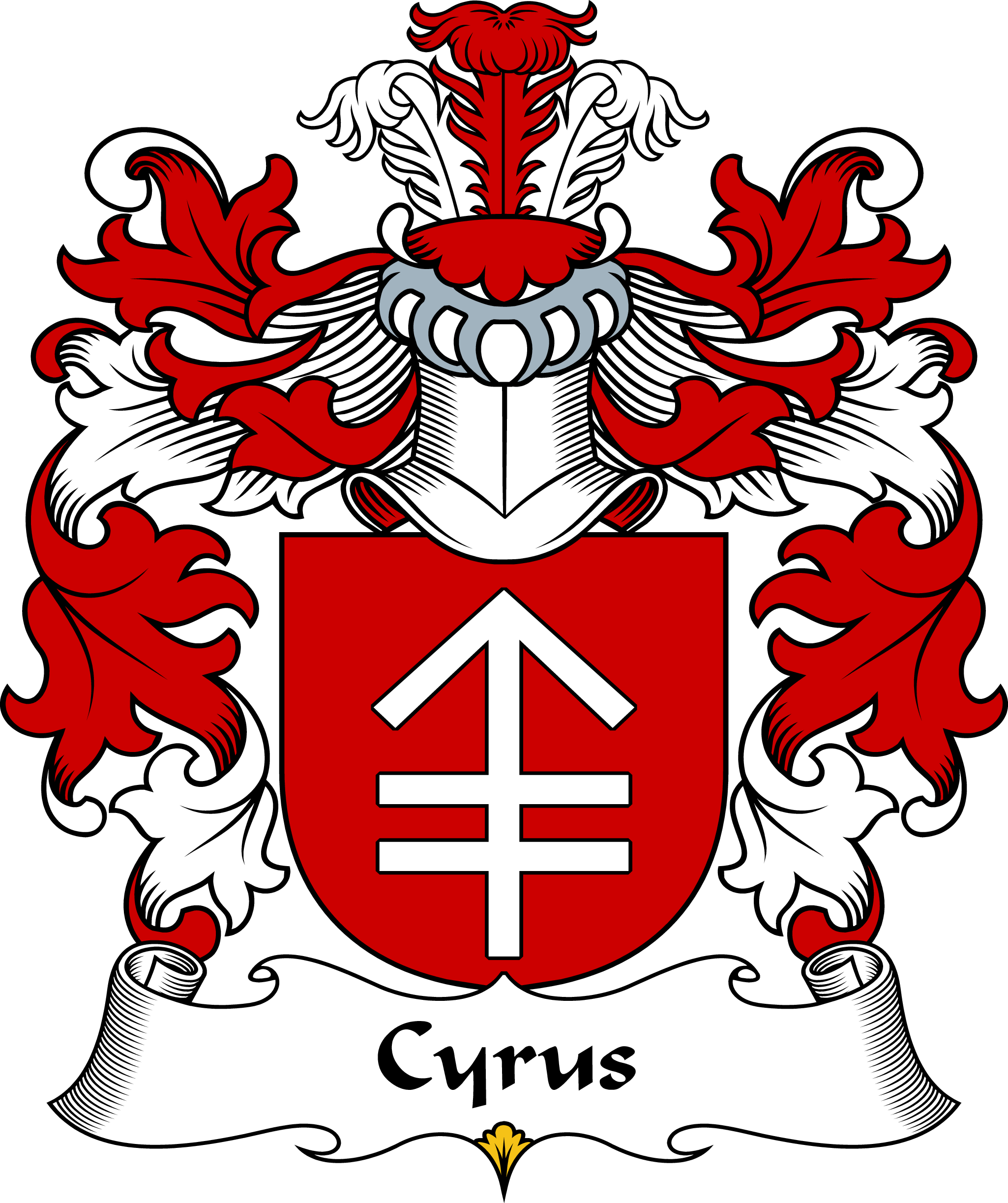 CYRUS-POLISH-ARMS