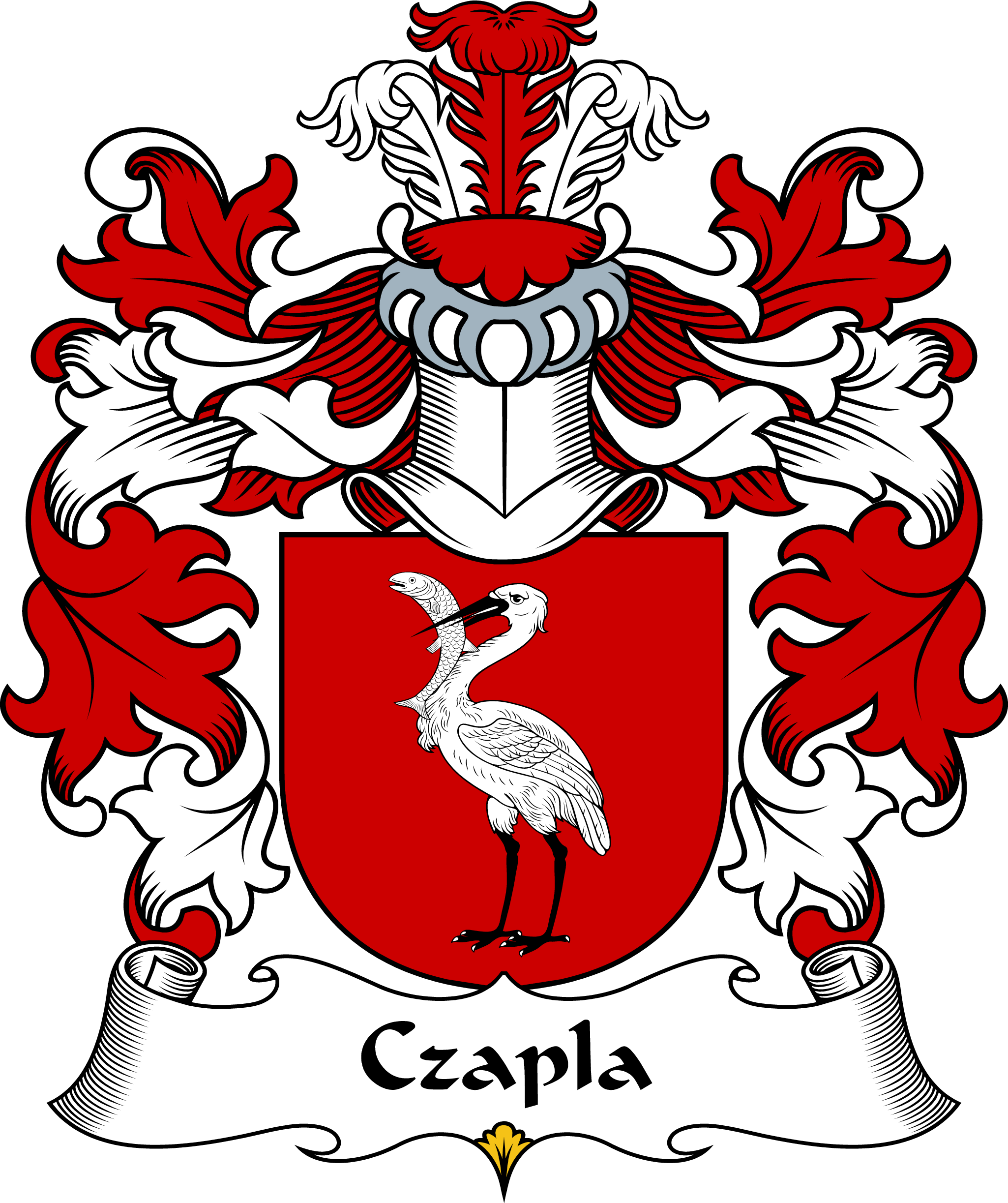 CZAPLA-POLISH-ARMS