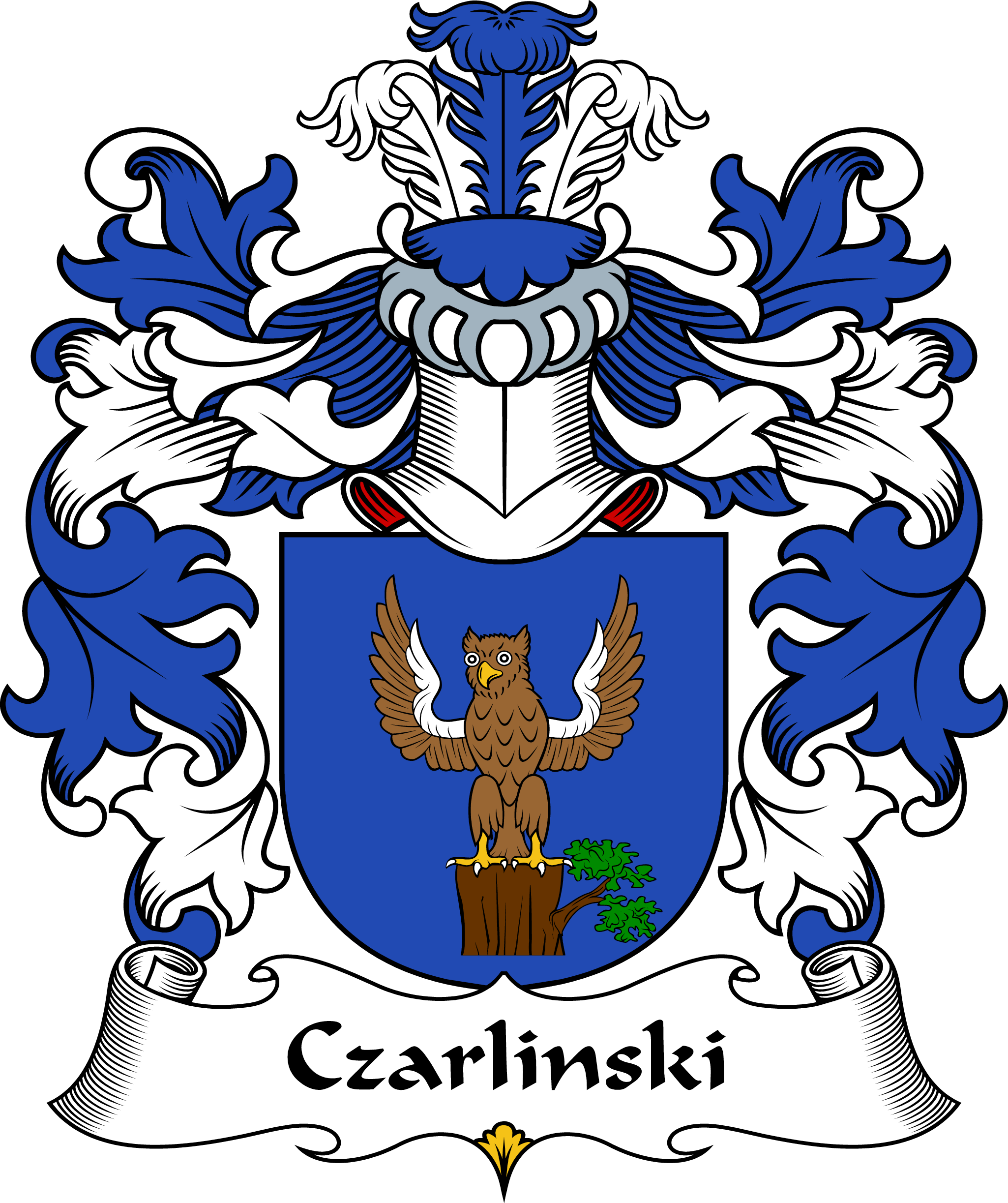 CZARLINSKI-POLISH-ARMS