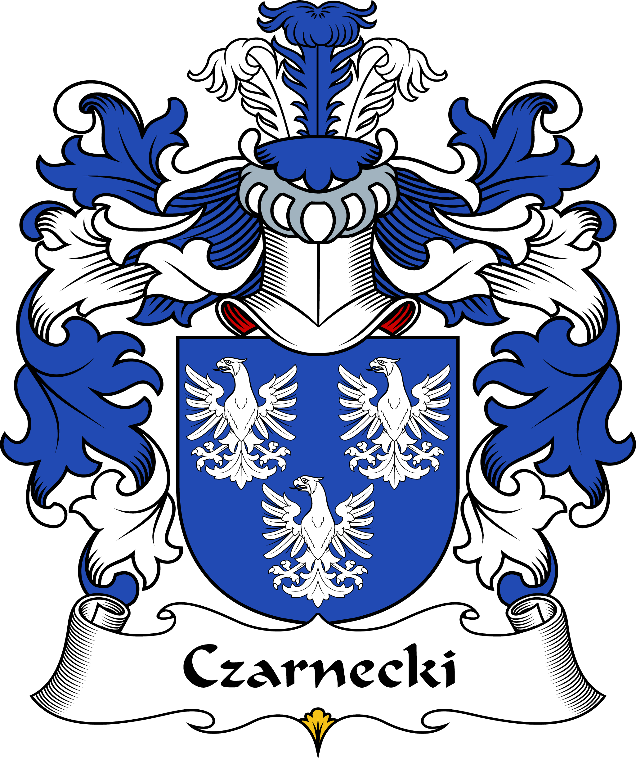 CZARNECKI-I-POLISH-ARMS