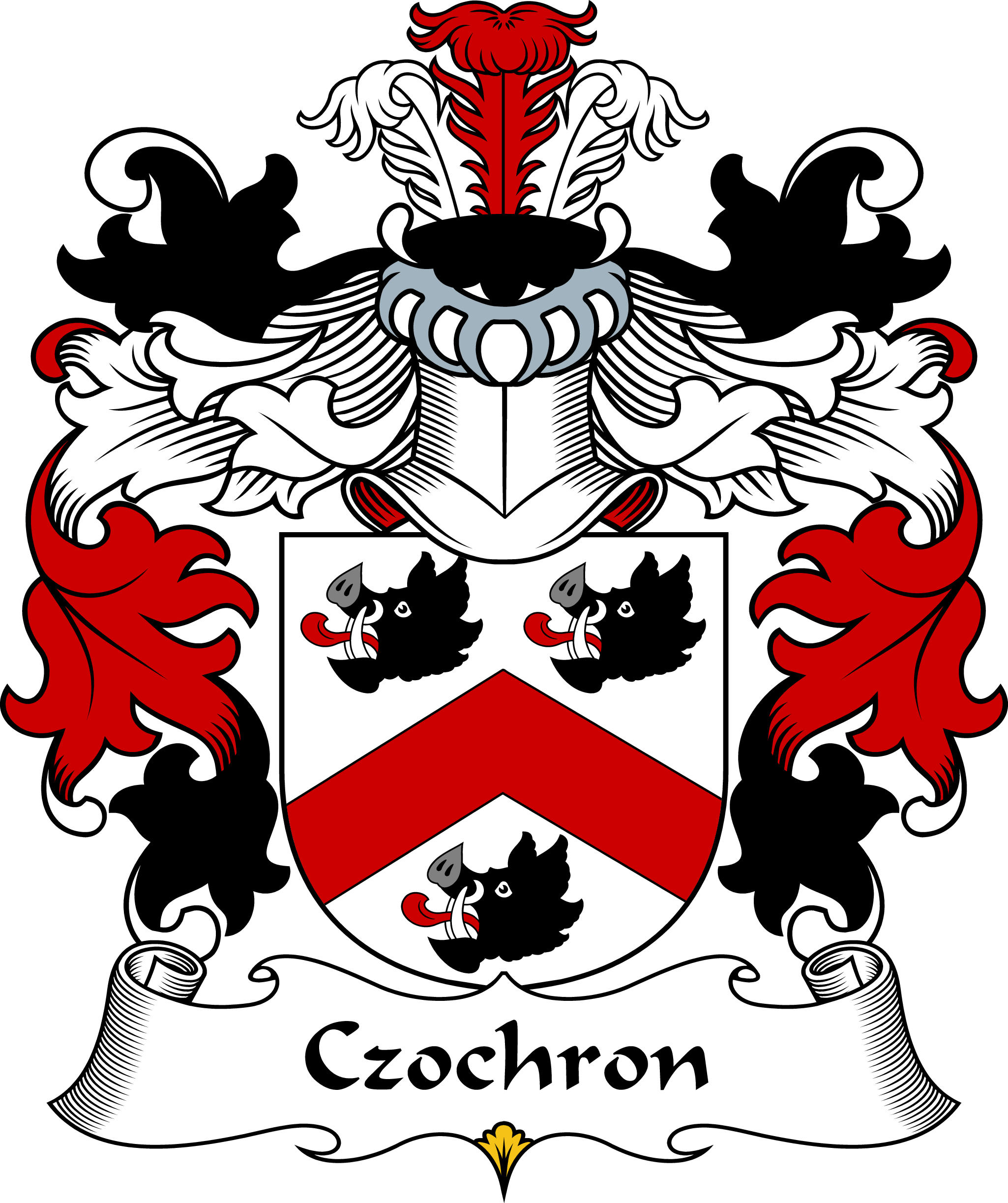 CZOCHRON-POLISH-ARMS