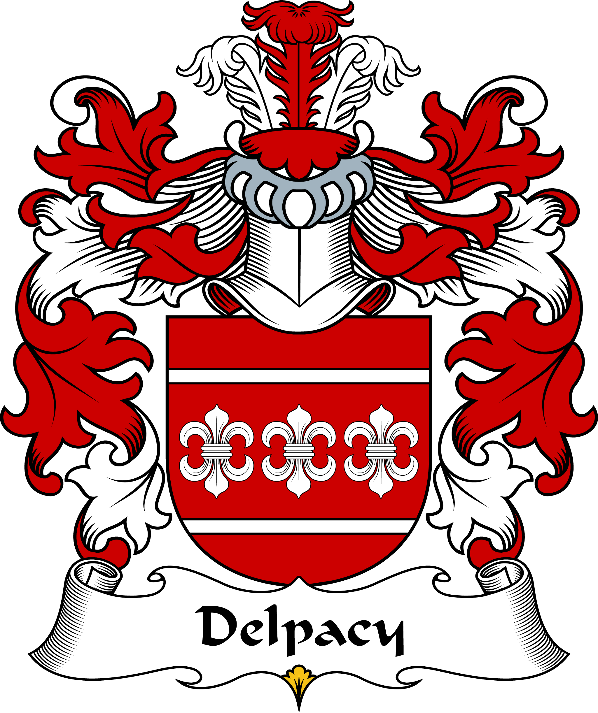 DELPACY-POLISH-ARMS