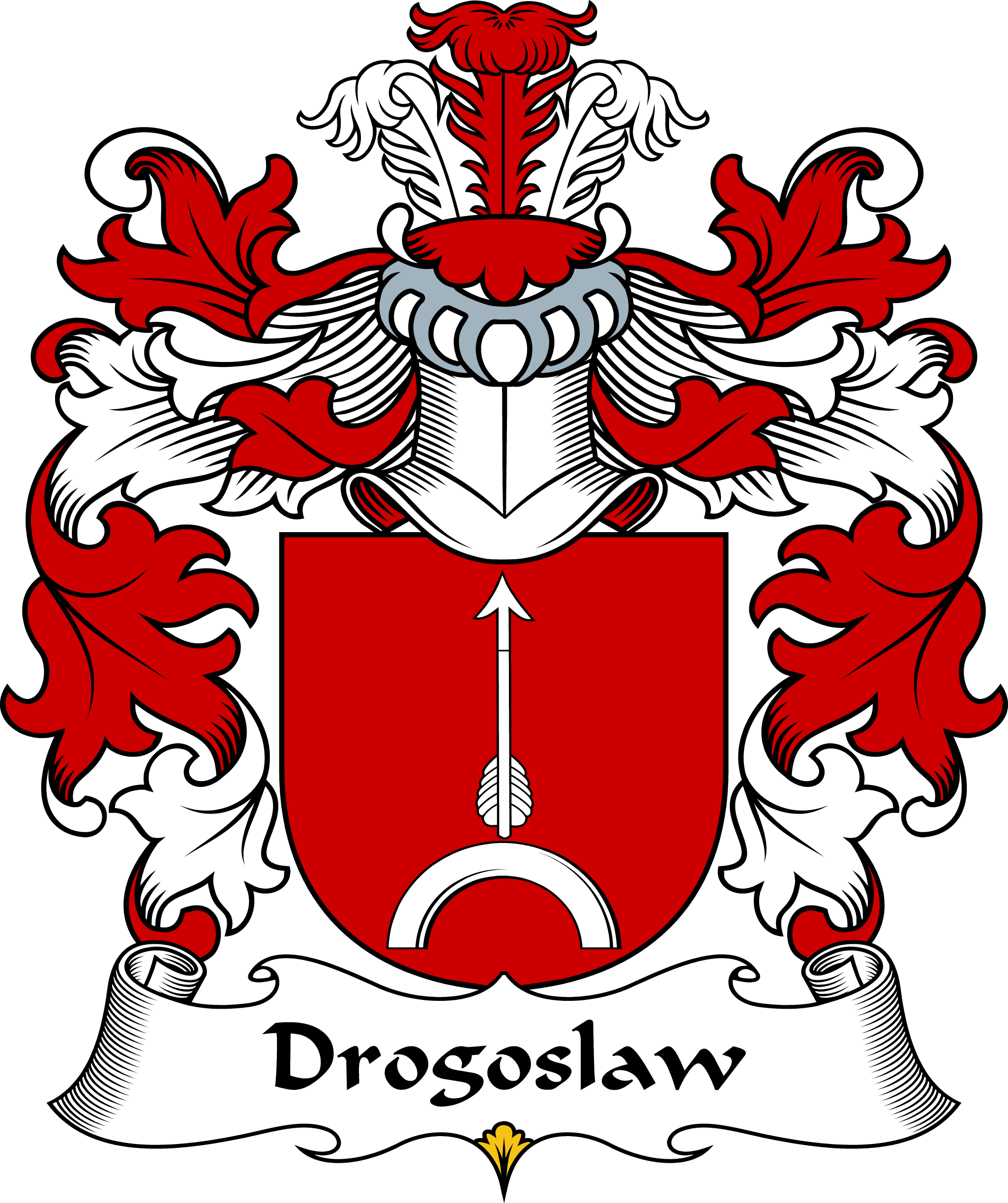 DROGOSLAW-POLISH-ARMS