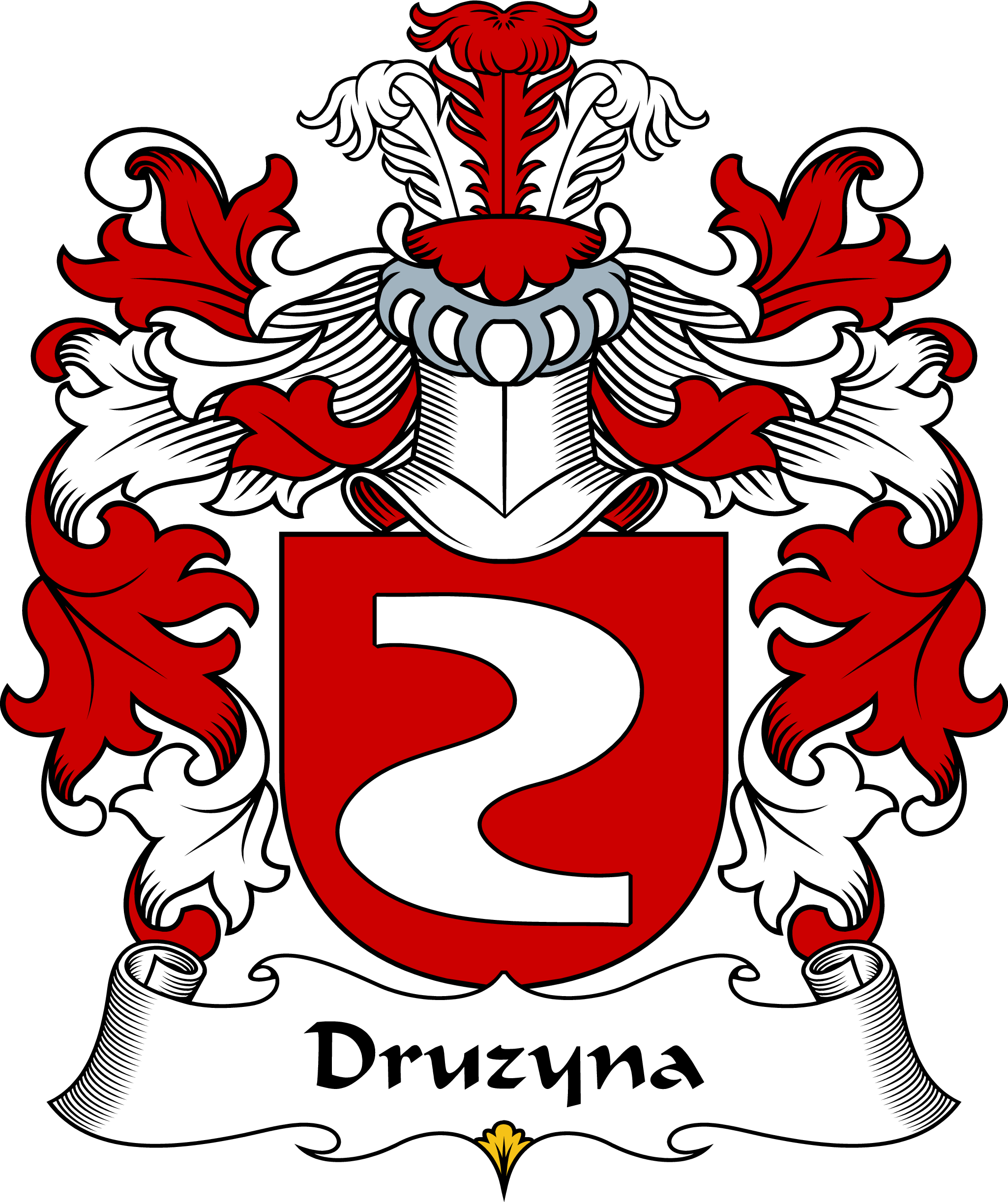 DRUZYNA-POLISH-ARMS