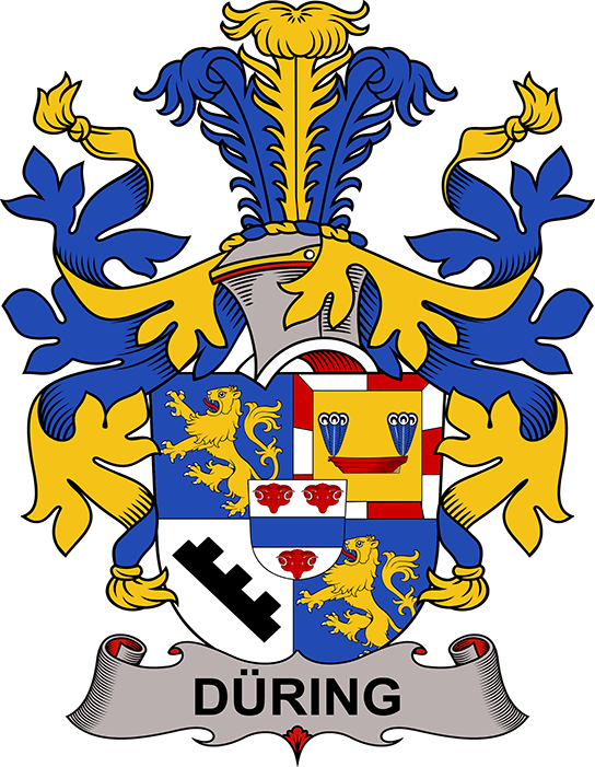 DÜRING-SWEDISH-ARMS