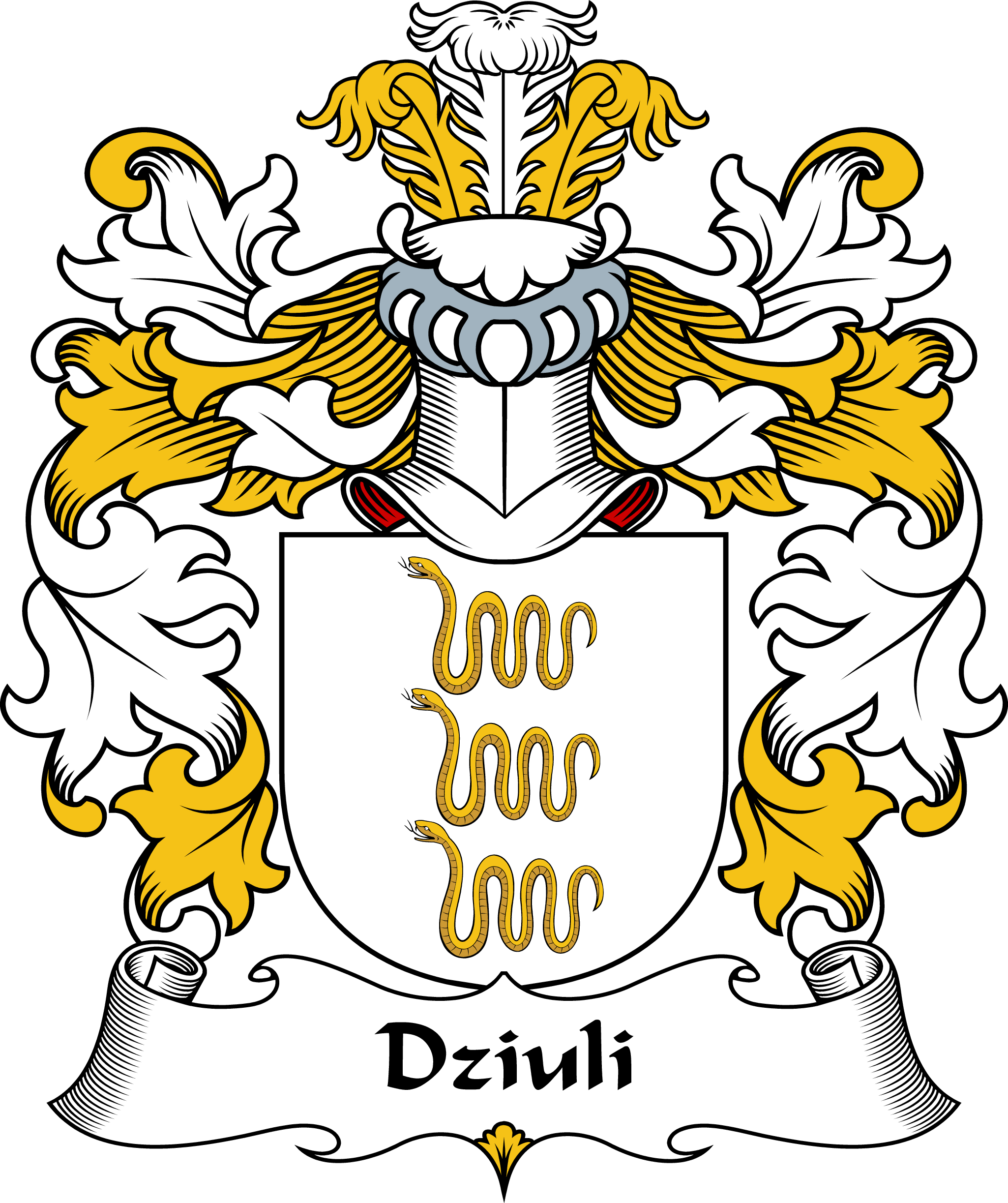 DZIULI-POLISH-ARMS