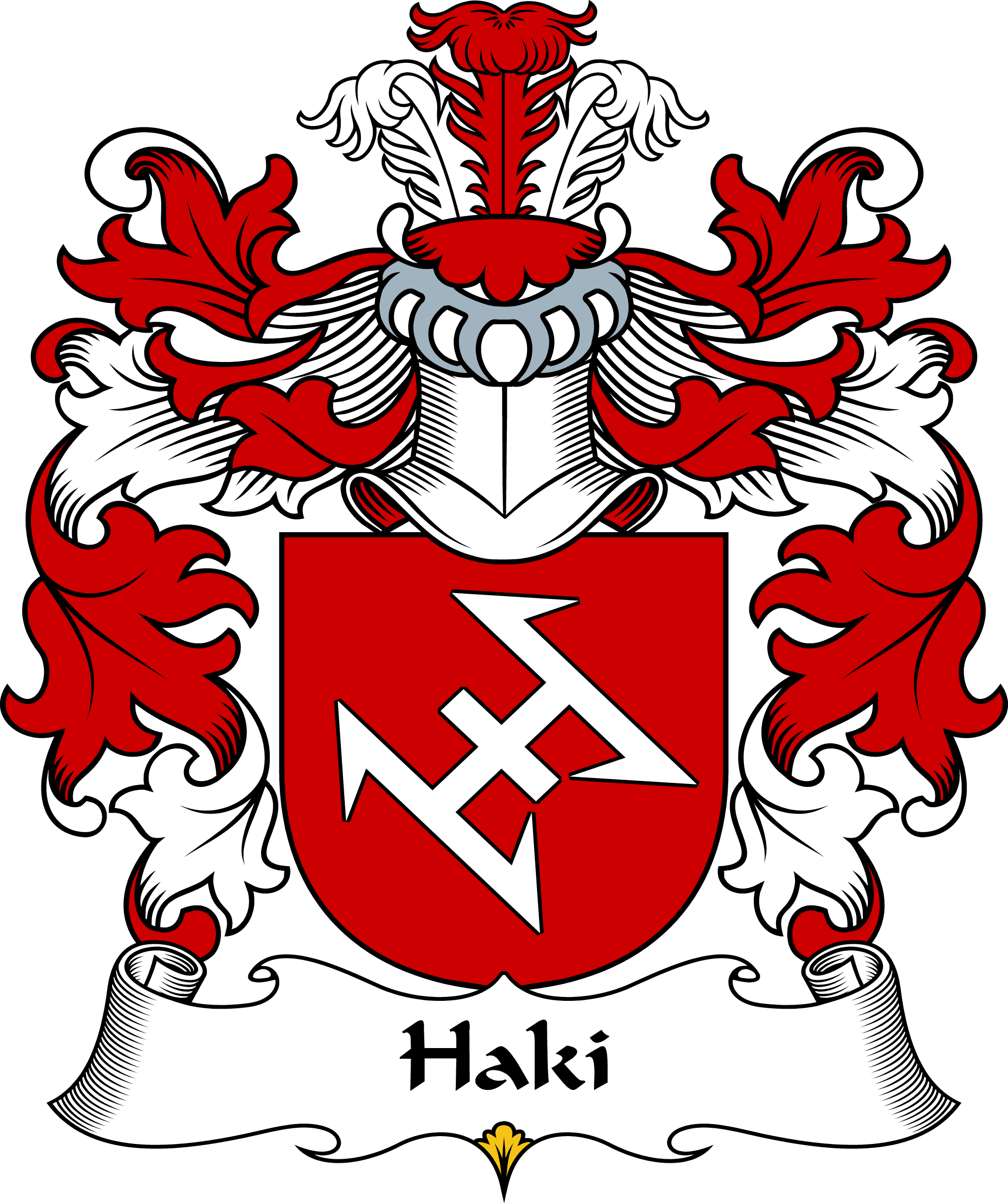 HAKI-POLISH-ARMS