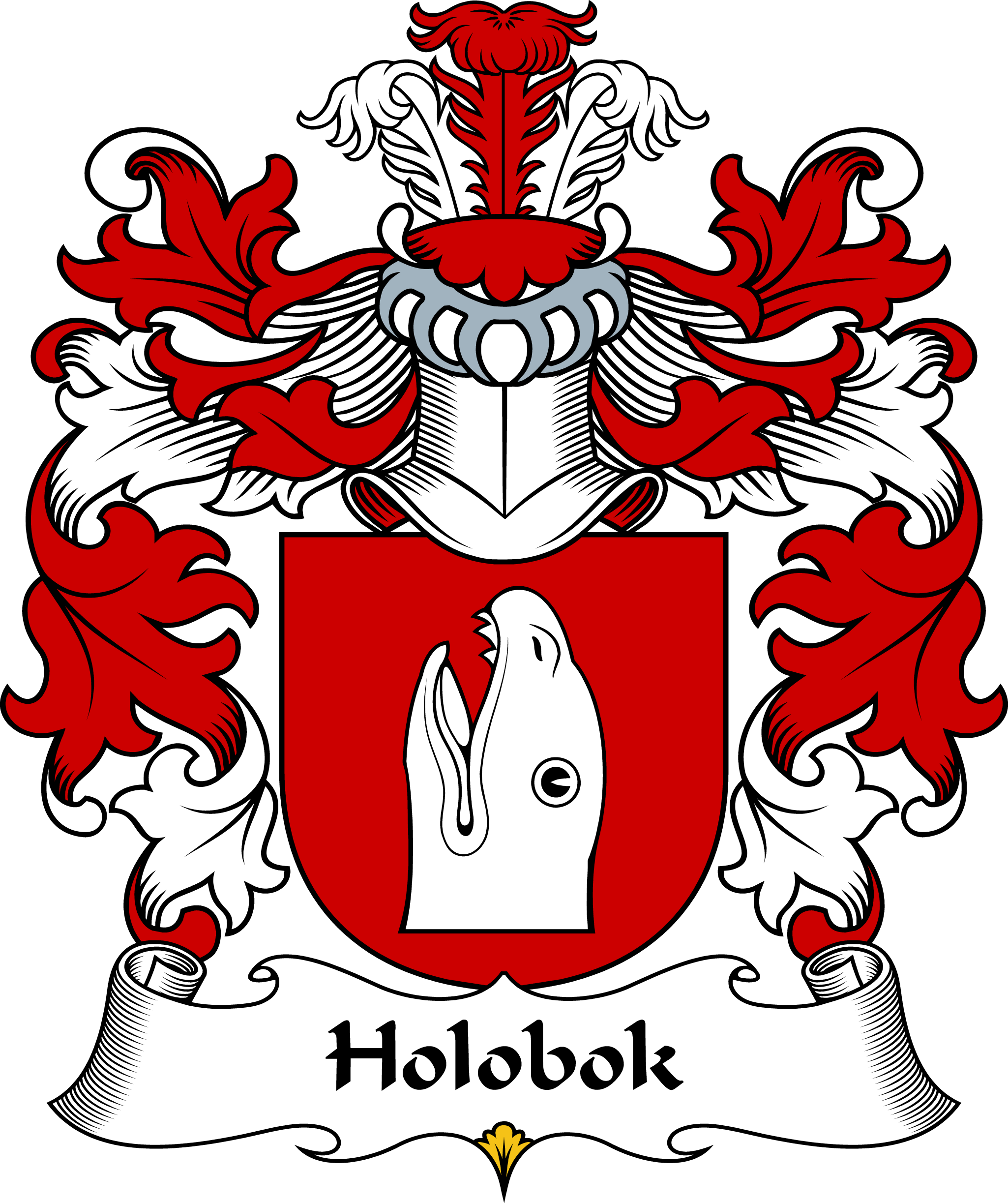 HOLOBOK-POLISH-ARMS
