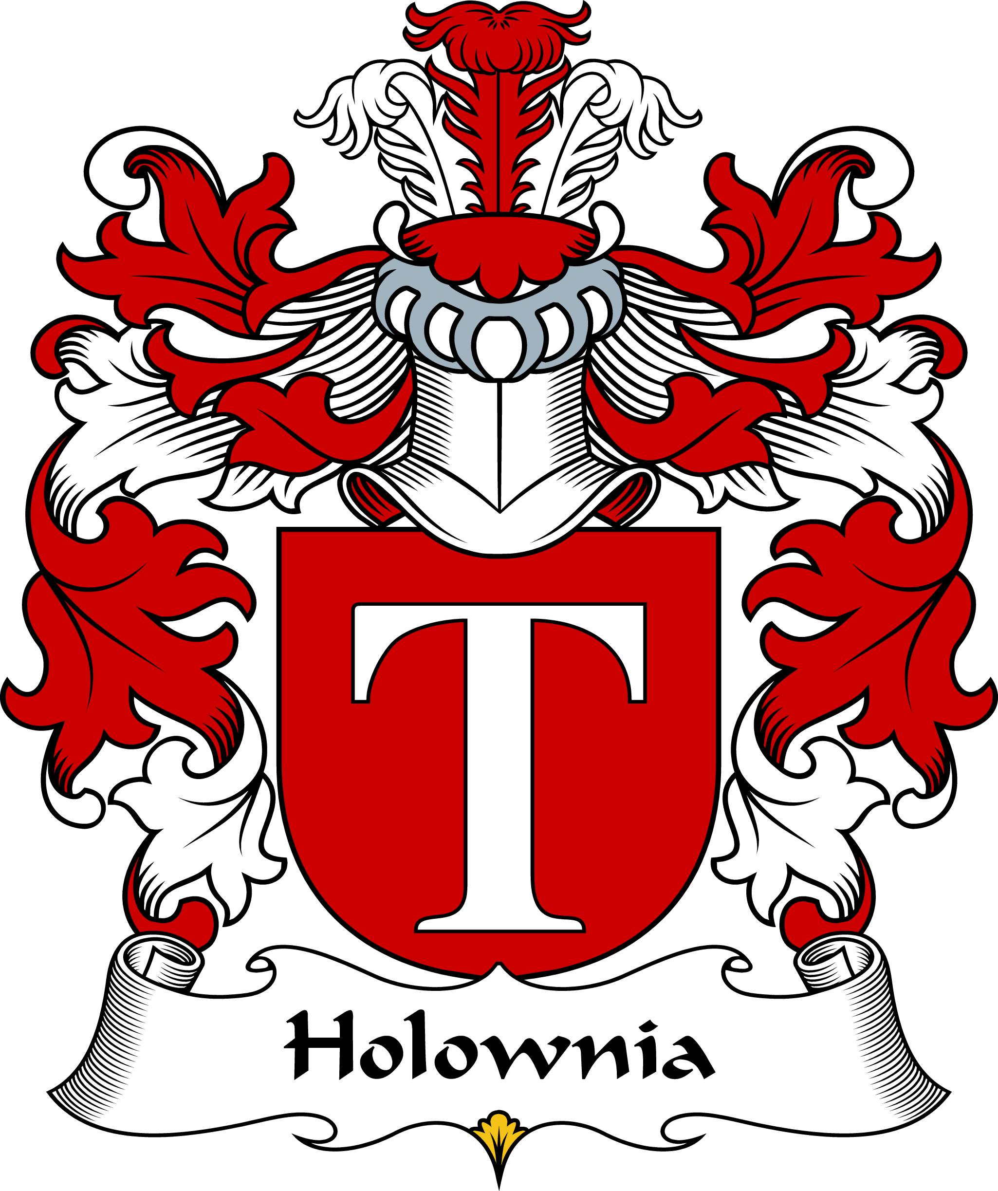 HOLOWNIA-POLISH-ARMS
