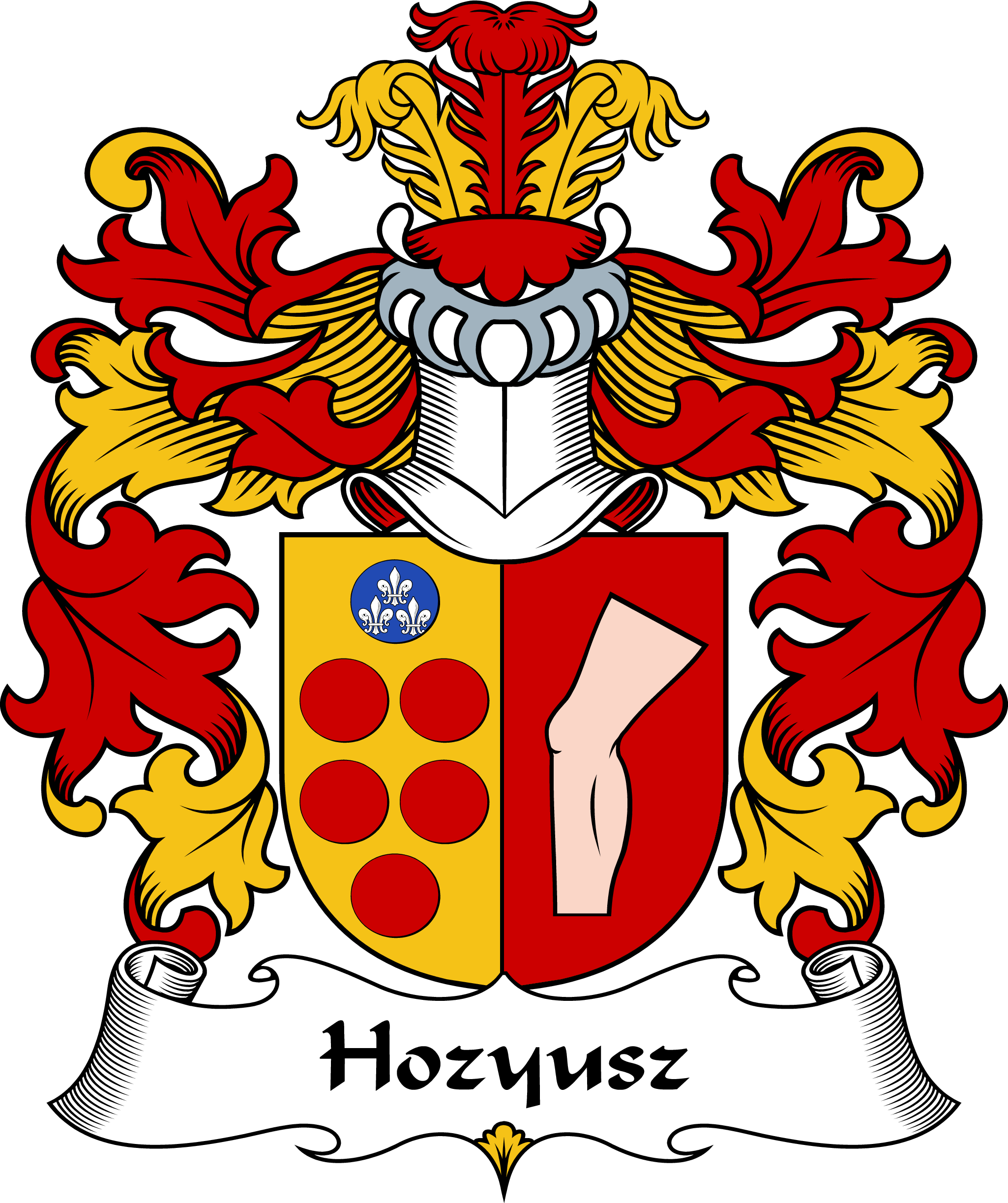 HOZYUSZ-POLISH-ARMS
