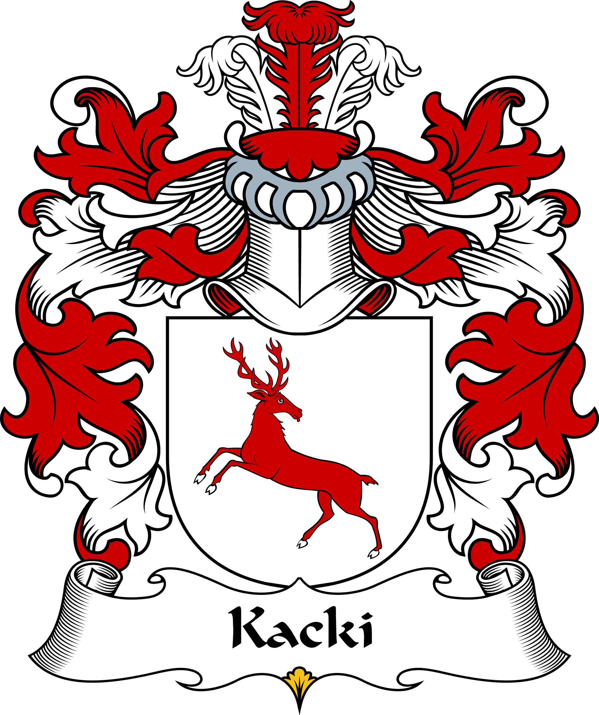 KACKI-POLISH-ARMS