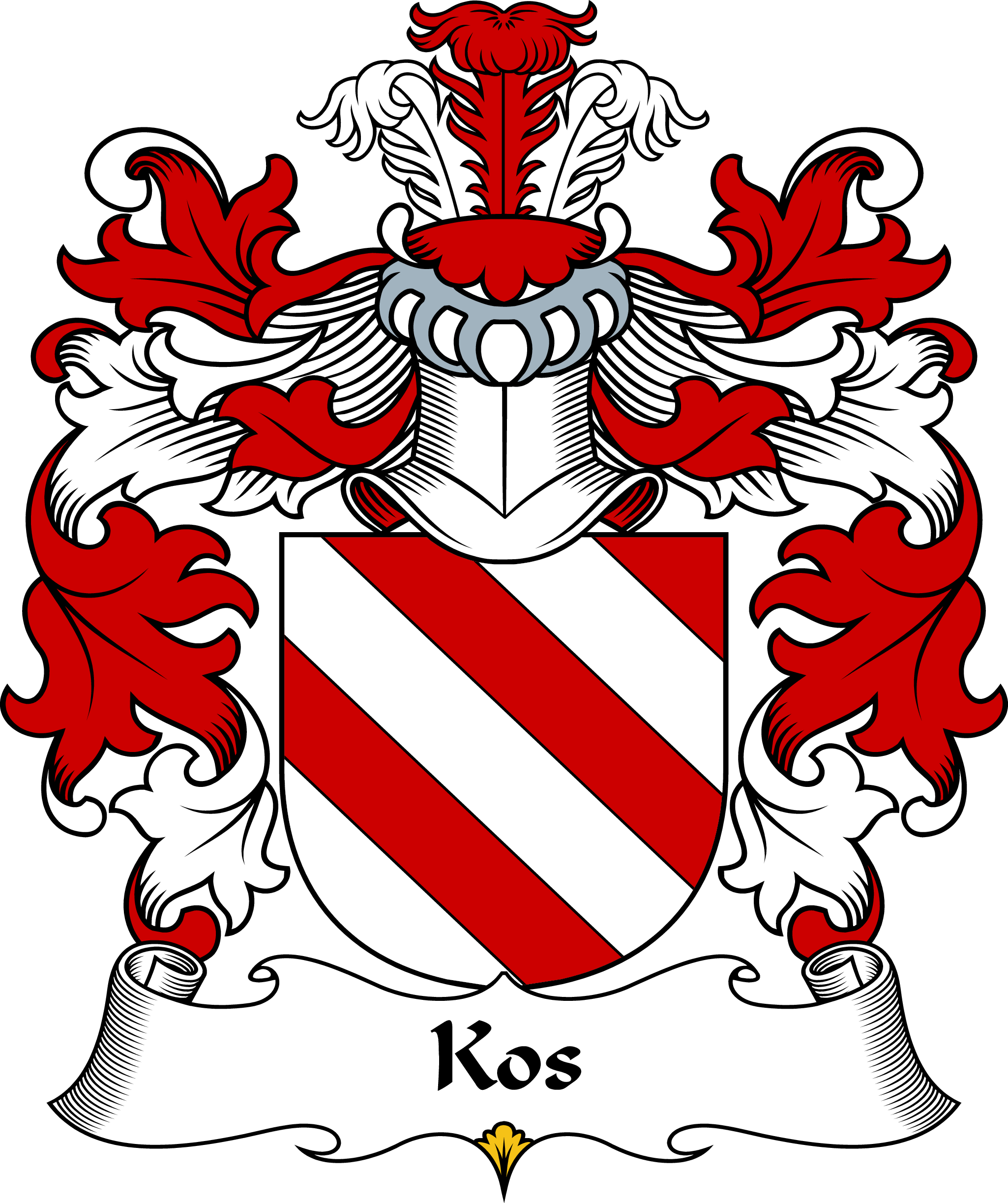KOS-OR-KOSS)-POLISH-ARMS