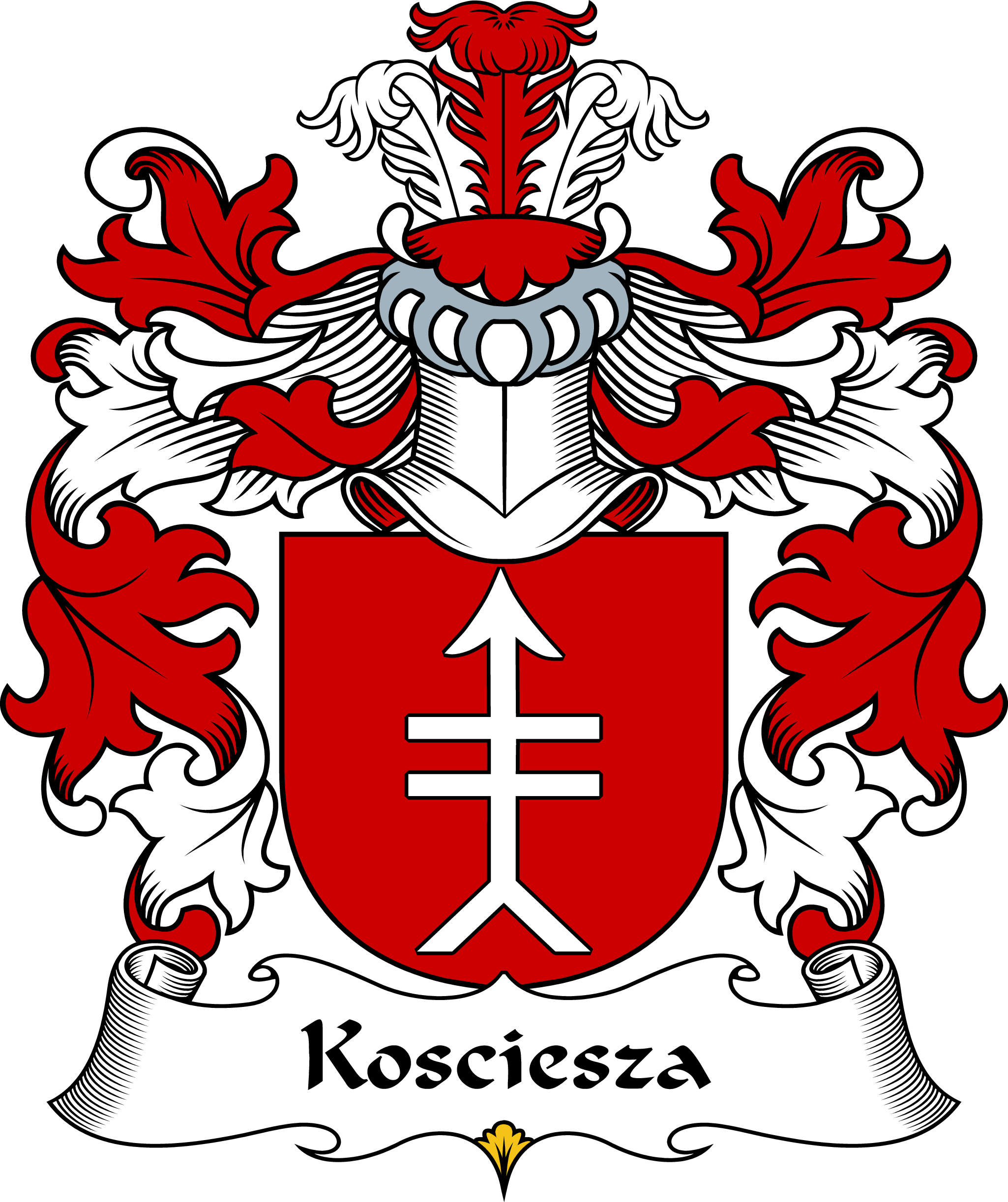 KOSCIESZA-II-POLISH-ARMS