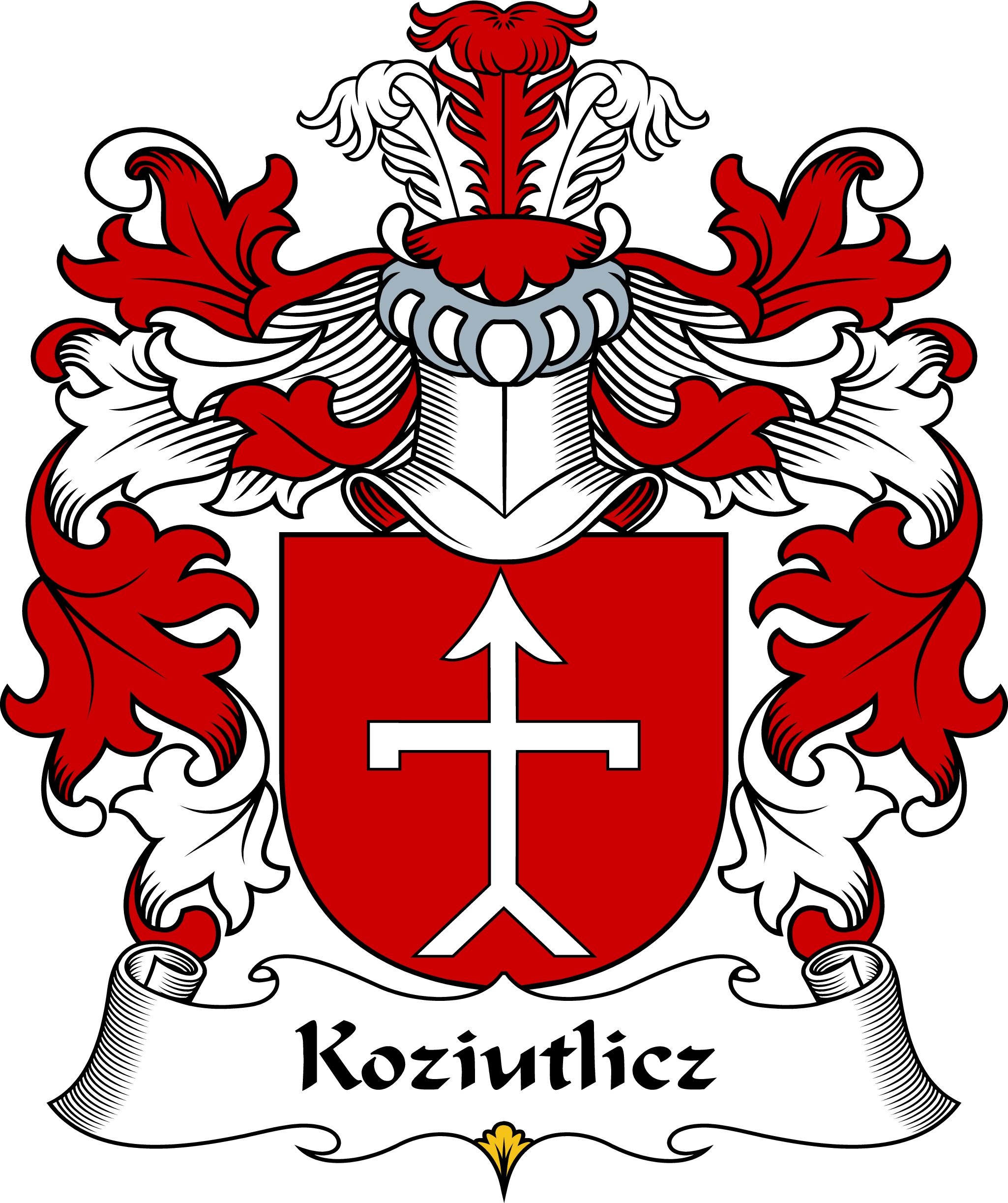 KOZIUTLICZ-POLISH-ARMS
