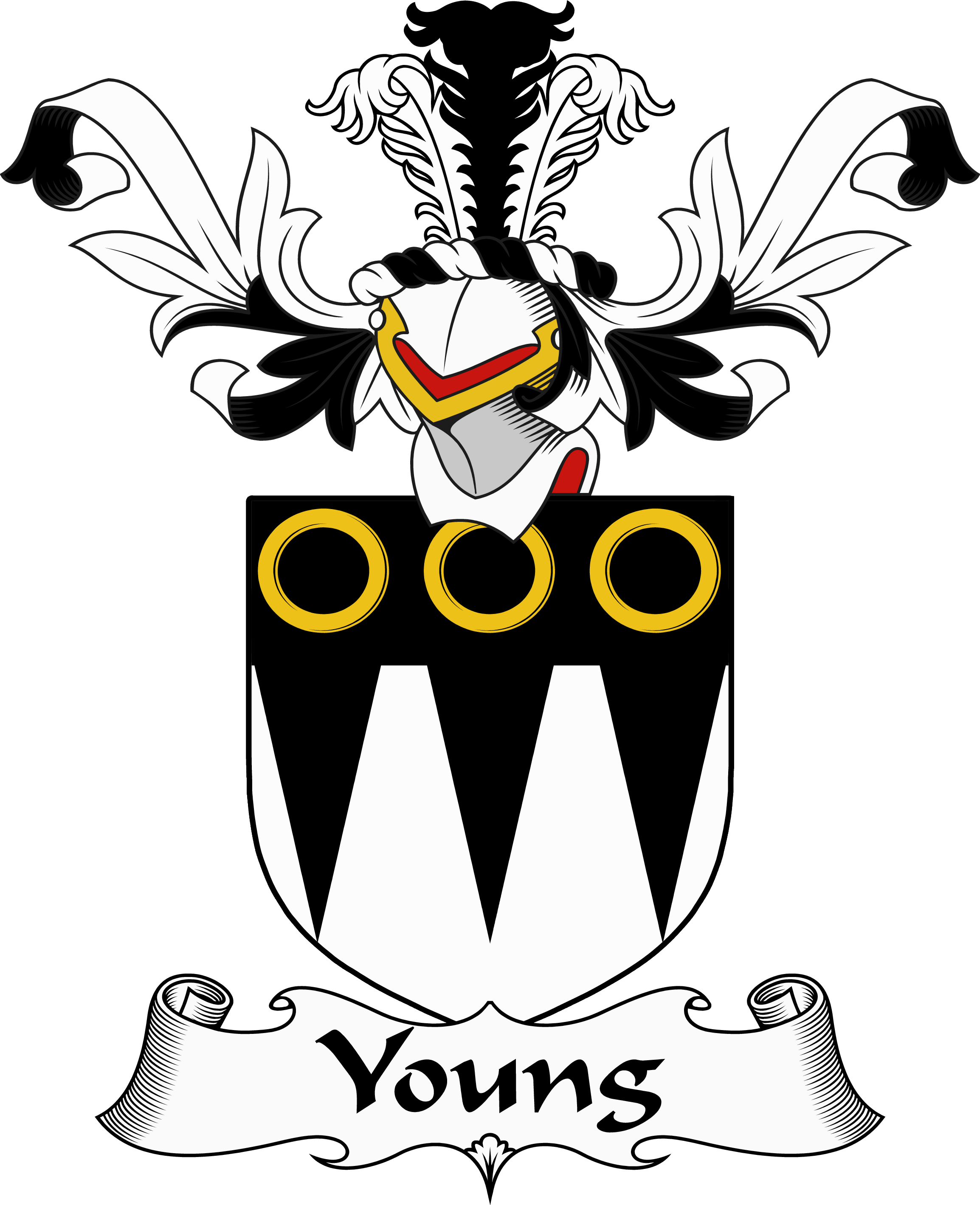 YOUNG–SCOTTISH-COA