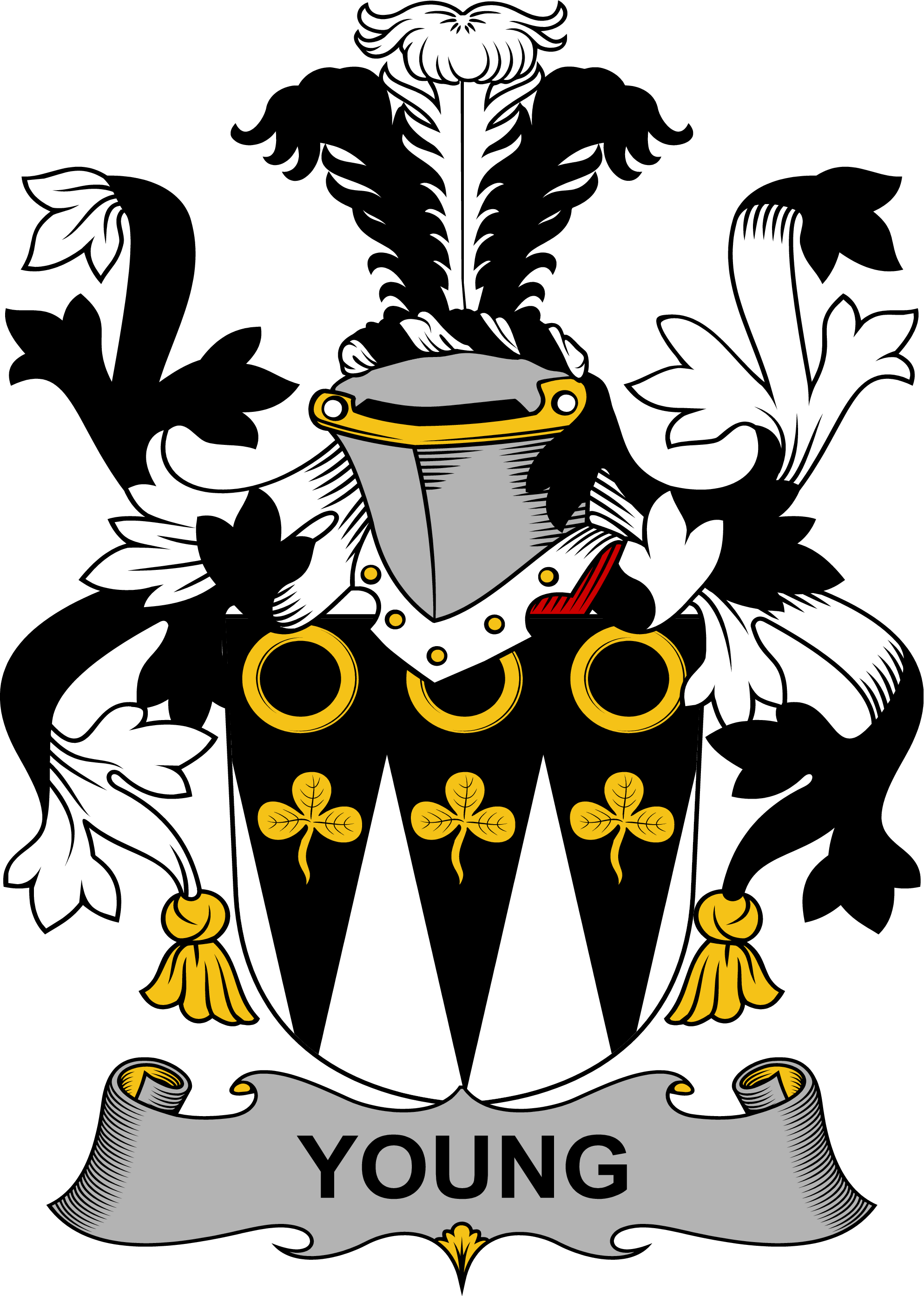 YOUNG-IRISH-ARMS