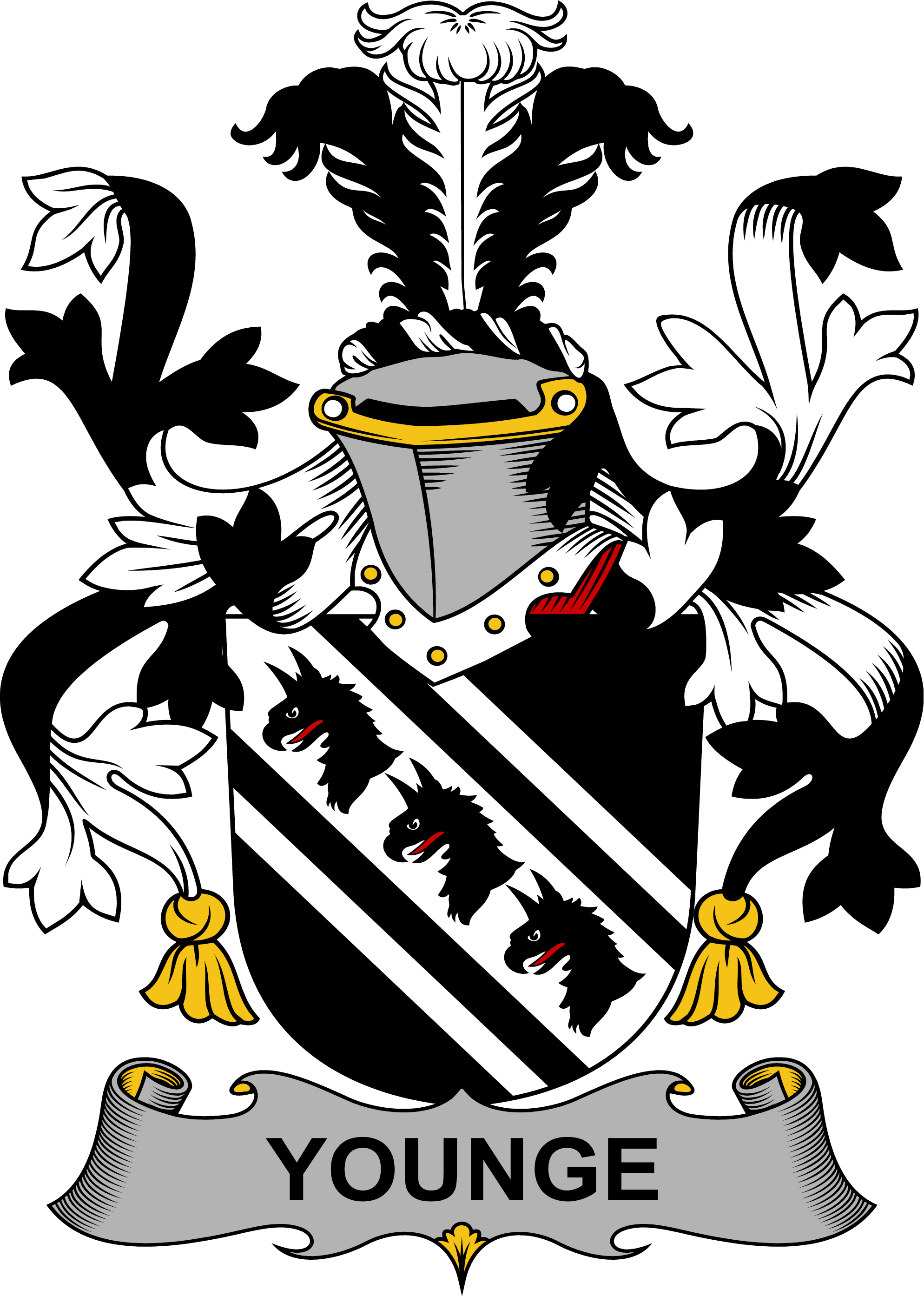 YOUNGE-IRISH-ARMS